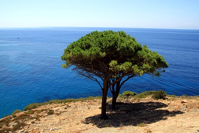 Auf_Elba.jpg