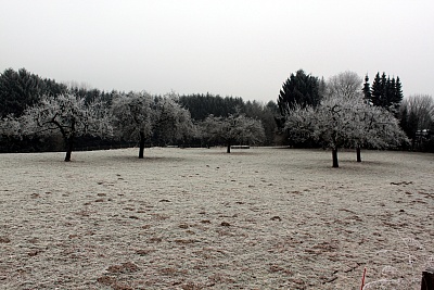 Winterwiese.jpg