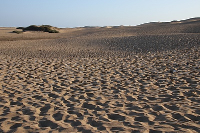 Duenen_Maspalomas.jpg