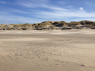 Strand_Callantsoog.jpg