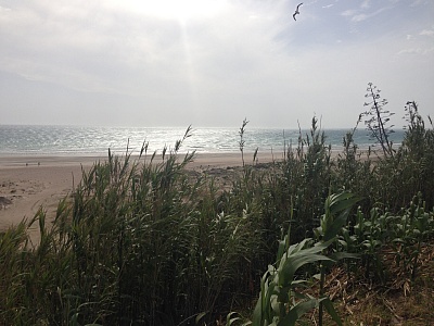 Strandimpression_Conil.jpg