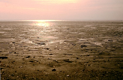 Wattenmeer.jpg