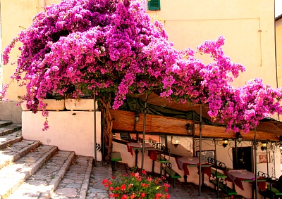 Restaurant_auf_Elba.jpg
